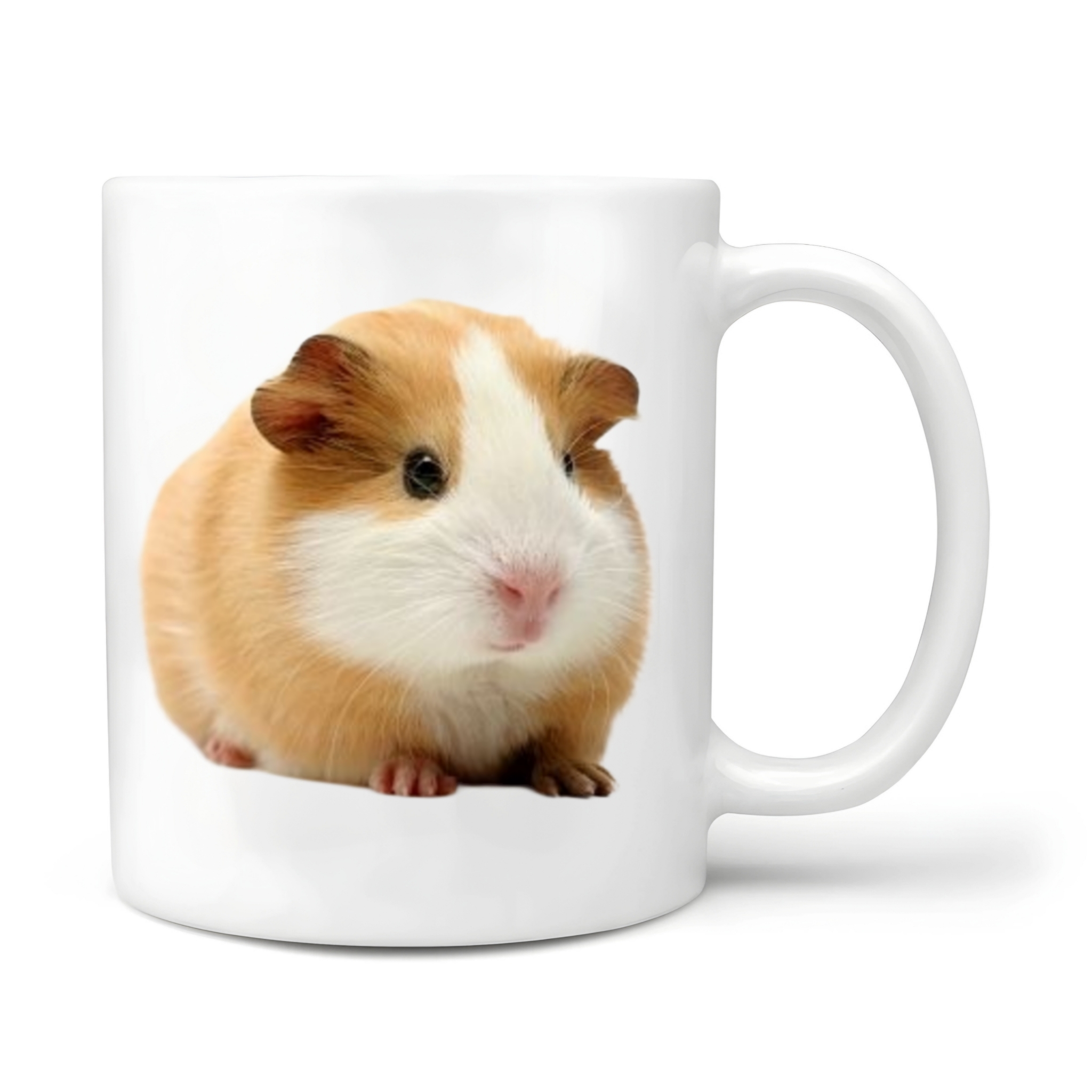 Zvířata