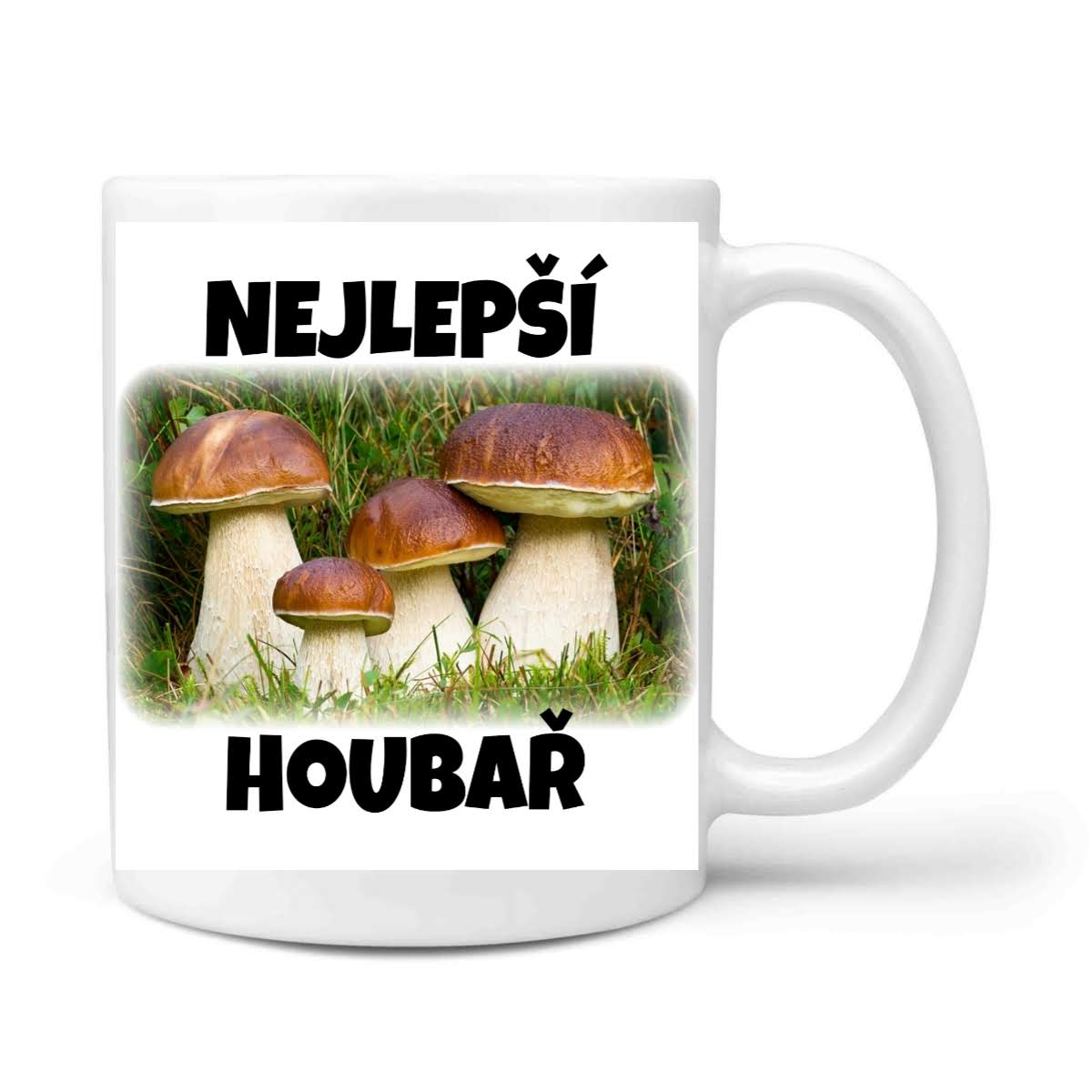Nejlepší houbař