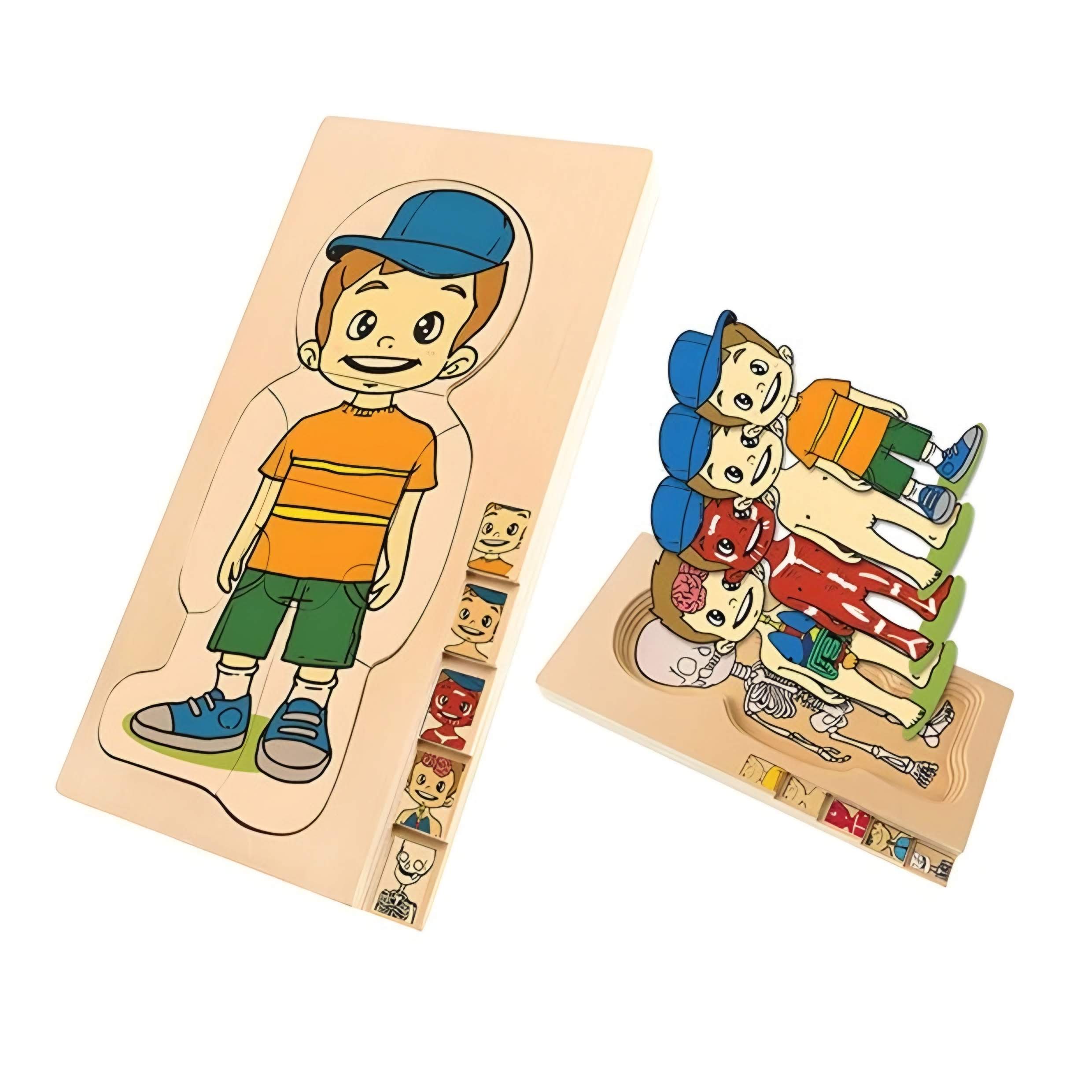 Dřevěné puzzle / anatomie dívky 