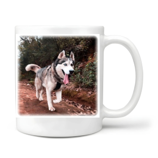 Husky