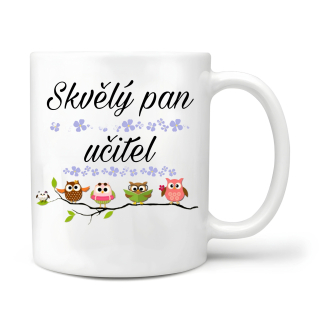 Skvělý pan učitel