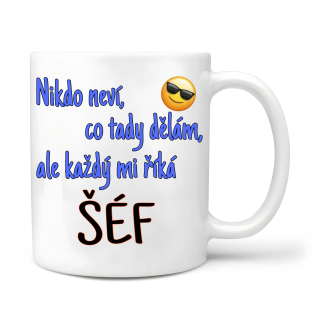 Nikdo neví co tady dělám ale každý mi říká šéf