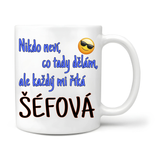 Nikdo neví co tady dělám ale každý mi říká šéfová 