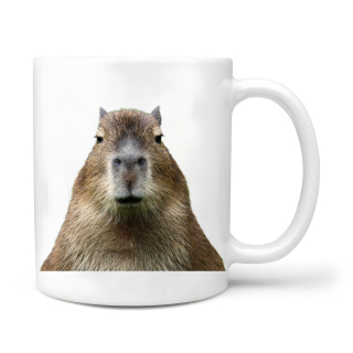 Kapybara