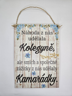 Náhoda z nás udělala kolegyně