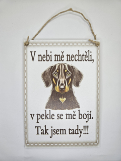 V nebi mě nechtěli / jezevčík srdce