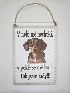 V nebi mě nechtěli / jezevčík