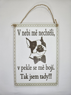 V nebi mě nechtěli / B. teriér