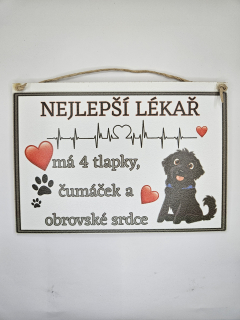 Nejlepší lékař / pes